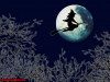 Filename=halloween-4-101.jpg
Filesize=146KB
Dimensions=1024x768
Date added=May 27, 2007 halloween-4-101.jpg