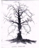 Illusion_008.jpg
