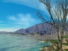 landscape-016.jpg