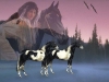 native-american-018.jpg