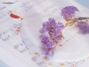 valentine-day2-04.jpg