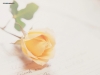 valentine-day3-02.jpg
