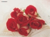 valentine-day3-03.jpg