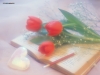 valentine-day3-05.jpg
