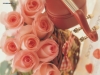 valentine-day3-11.jpg