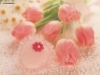 valentine-day3-15.jpg