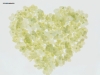 valentine-day3-18.jpg