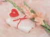 Filename=valentine-day3-25.jpg
Filesize=541KB
Dimensions=1024x768
Date added=May 06, 2007 valentine-day3-25.jpg