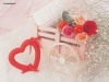 Filename=valentine-day3-27.jpg
Filesize=608KB
Dimensions=1024x768
Date added=May 06, 2007 valentine-day3-27.jpg