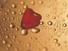 valentine-day4-01.jpg
