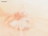 valentine-day4-19.jpg