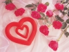Filename=valentine-day4-26.jpg
Filesize=603KB
Dimensions=1024x768
Date added=May 06, 2007 valentine-day4-26.jpg
