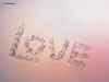 Filename=valentine-day4-32.jpg
Filesize=403KB
Dimensions=1024x768
Date added=May 06, 2007 valentine-day4-32.jpg
