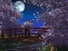 valentine-day5-12.jpg