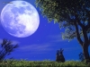 valentine-day5-22.jpg