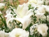 wedding-21.jpg