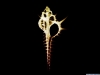 xray-10.jpg