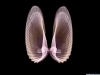 xray-50.jpg